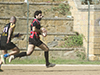 thumb_DSC_6187.jpg